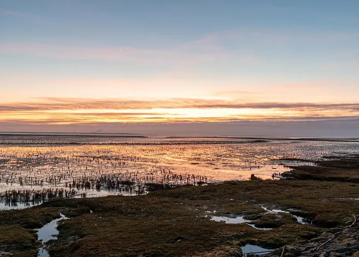 Sandduene By Interhome شقة نورديش